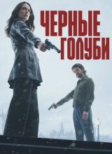 Черные голуби