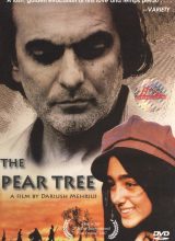 Грушевое дерево