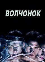 Волчонок Волчонок