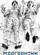 Маргаритки Маргаритки