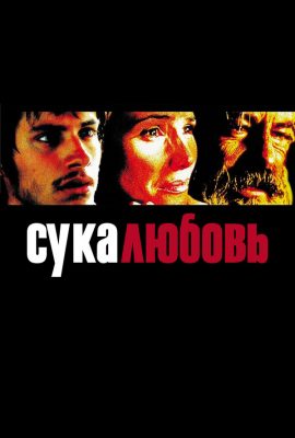 Сука-любовь Сука-любовь