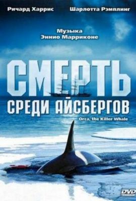 Смерть среди айсбергов Смерть среди айсбергов