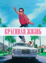 Красивая жизнь