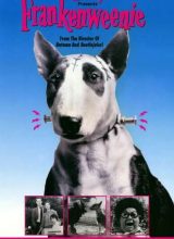 Франкенвини