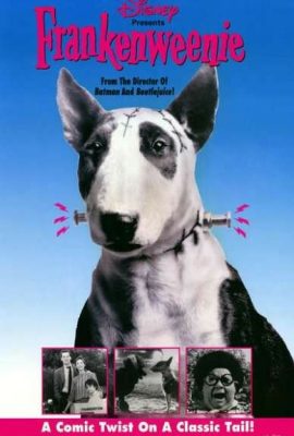 Франкенвини Франкенвини