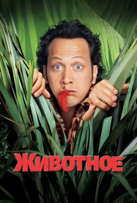 Животное Животное