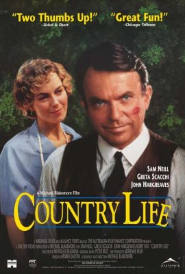 Провинциальный роман Провинциальный роман